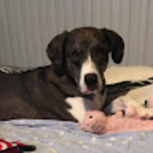 Meet your Posher, Vicky